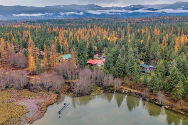 birds eye view of property with a water and mountain view and a view of trees