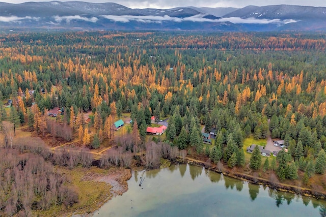 drone / aerial view with a view of trees and a water and mountain view