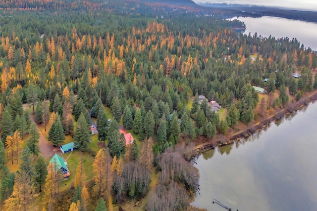 birds eye view of property with a water view and a view of trees