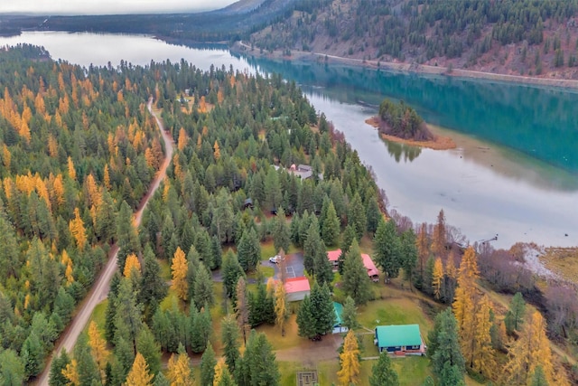 birds eye view of property featuring a water view and a wooded view