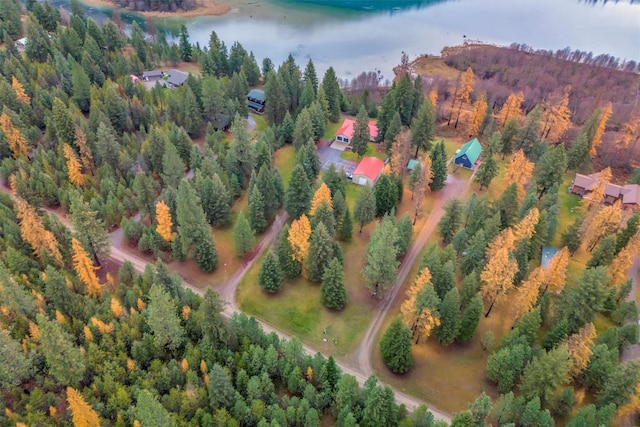 aerial view with a forest view and a water view