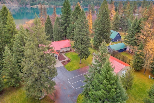 drone / aerial view with a water view and a wooded view