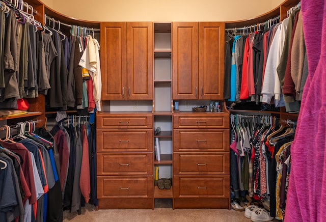 spacious closet with carpet