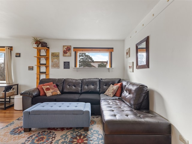 living area featuring wood finished floors