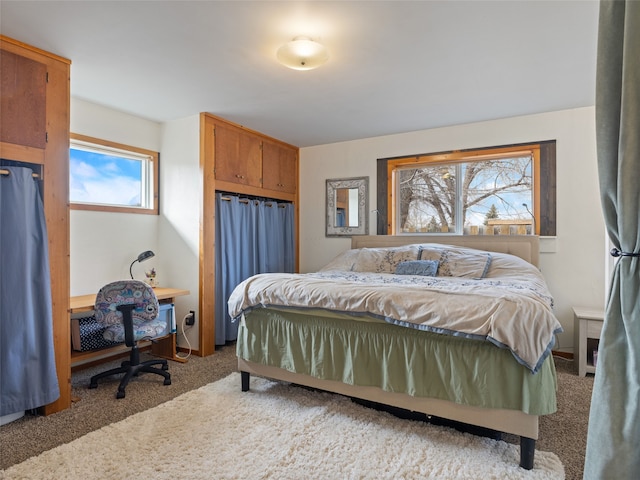 bedroom featuring carpet floors