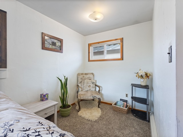 bedroom with baseboards and carpet flooring