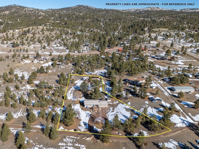 birds eye view of property with a mountain view