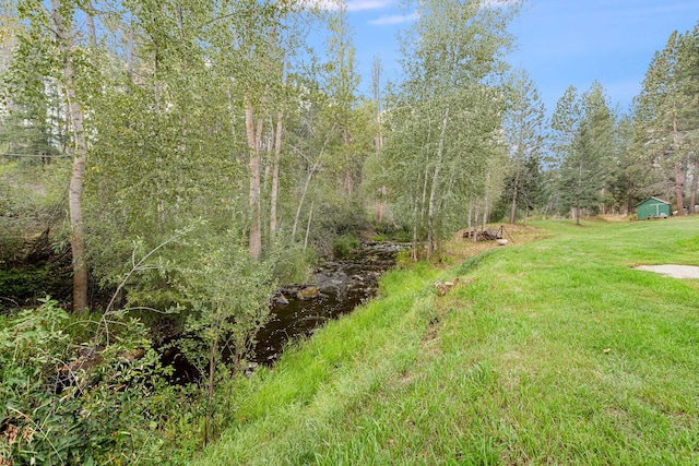 view of yard with a forest view