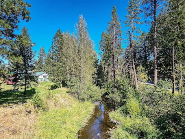 view of landscape with a wooded view