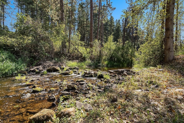 view of landscape with a forest view