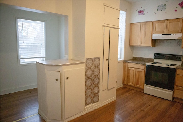 kitchen with under cabinet range hood, baseboards, wood finished floors, and range with electric stovetop