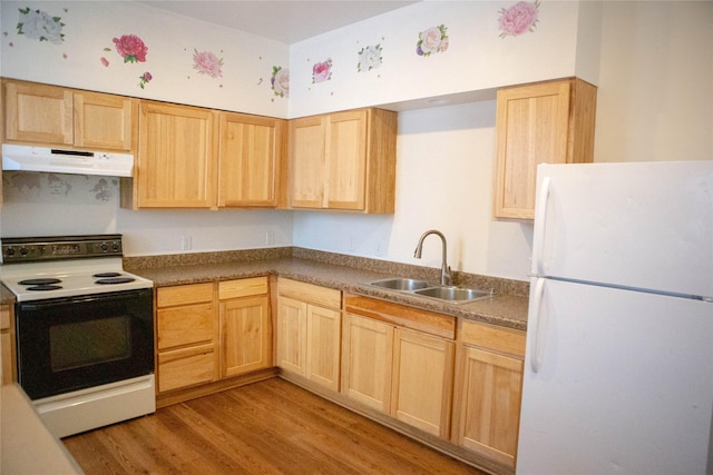 kitchen with under cabinet range hood, range with electric stovetop, a sink, freestanding refrigerator, and light brown cabinetry