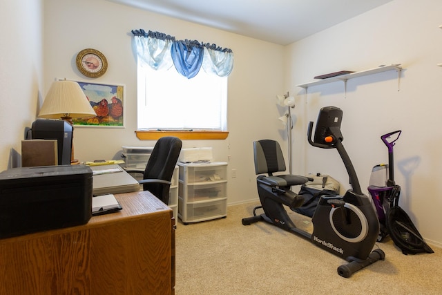 office space featuring carpet and baseboards