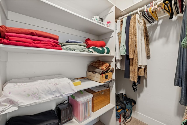 view of walk in closet