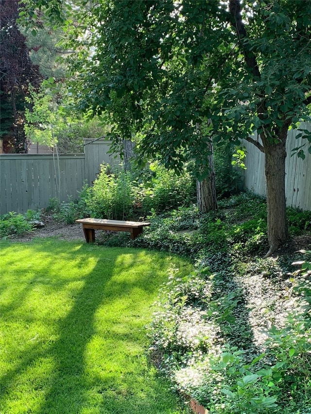 view of yard featuring fence