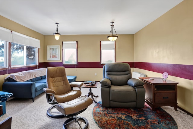 living area featuring carpet flooring