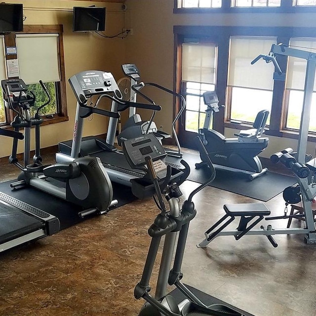 exercise room featuring plenty of natural light