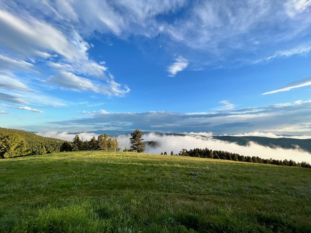 view of landscape featuring a mountain view