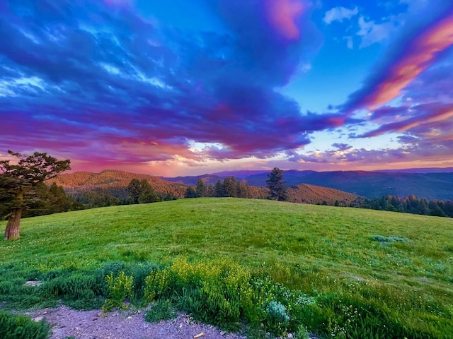 mountain view