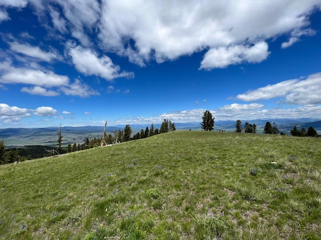 view of yard with a mountain view and a rural view