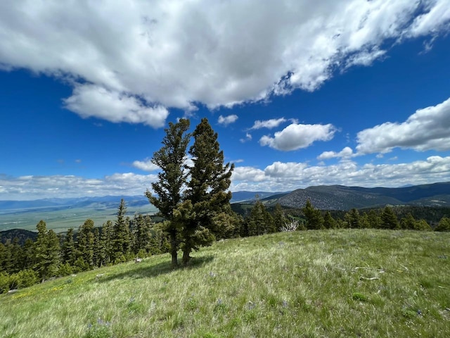 mountain view
