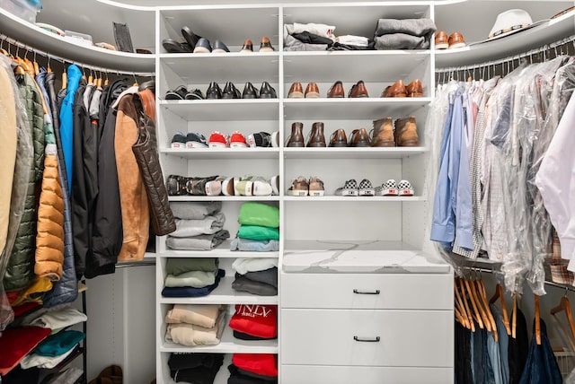 view of spacious closet