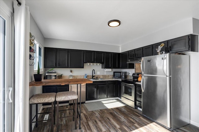 kitchen with under cabinet range hood, dark wood-style flooring, a sink, appliances with stainless steel finishes, and dark cabinetry