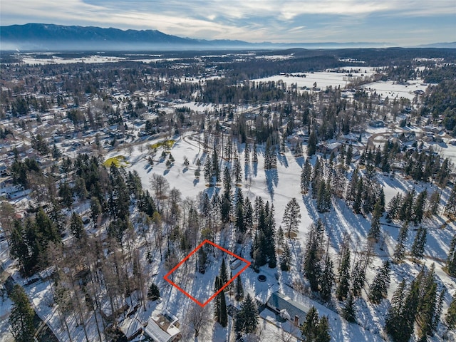 Listing photo 3 for NHN Parkhill Dr, Whitefish MT 59937