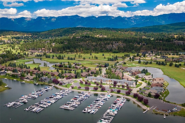 birds eye view of property featuring a forest view and a water and mountain view