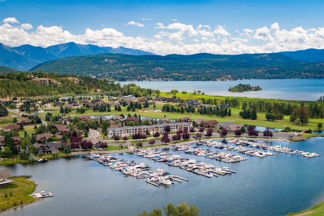 birds eye view of property featuring a water and mountain view