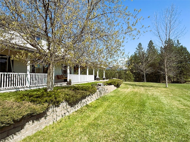 view of yard