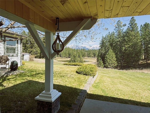 view of yard