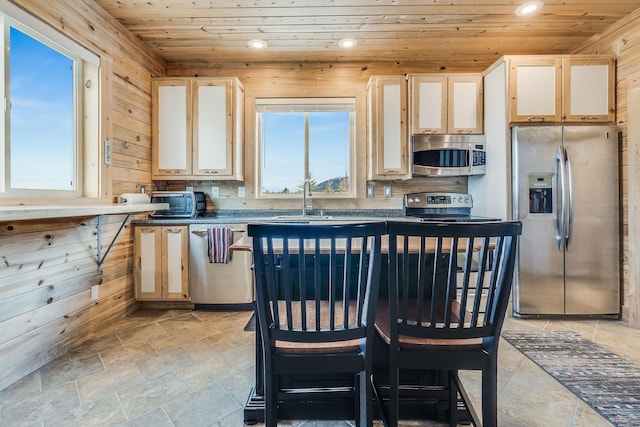 kitchen with stainless steel appliances, plenty of natural light, wooden ceiling, and stone finish flooring