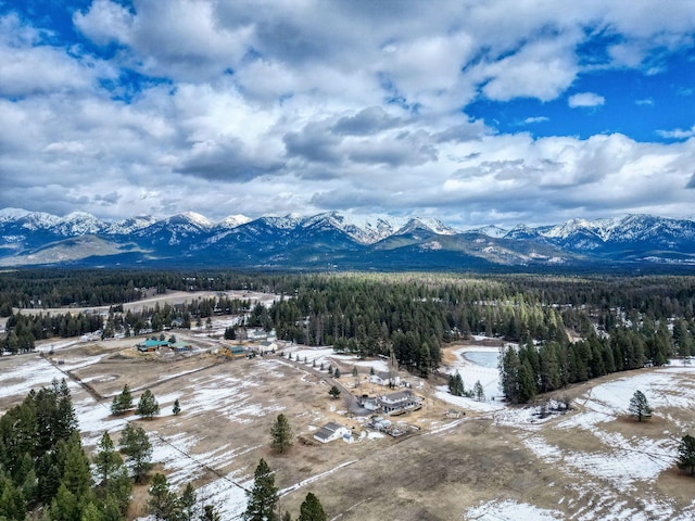 view of mountain feature featuring a wooded view