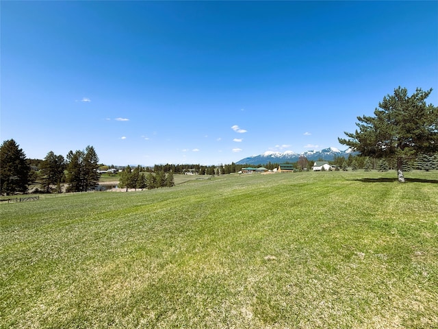 view of yard featuring a mountain view