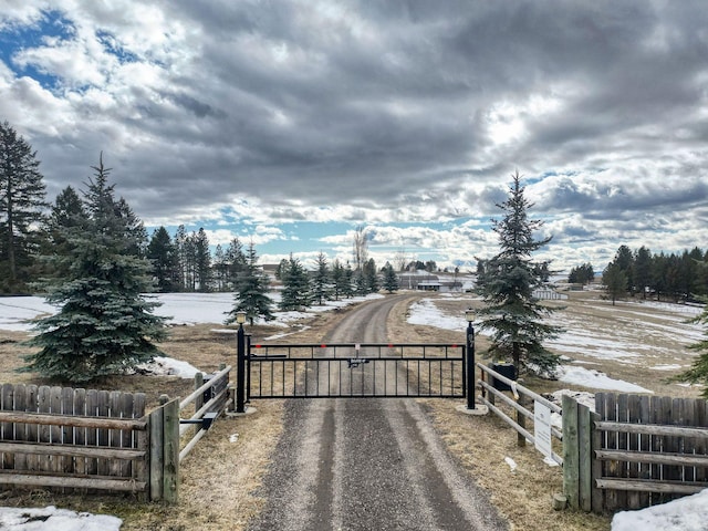 view of road featuring a gate, driveway, and a gated entry