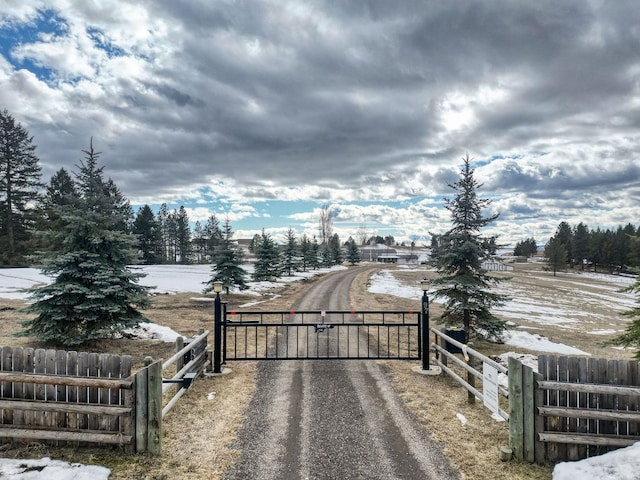 view of road with a rural view, driveway, a gated entry, and a gate
