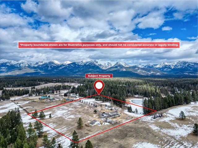 birds eye view of property featuring a forest view and a mountain view