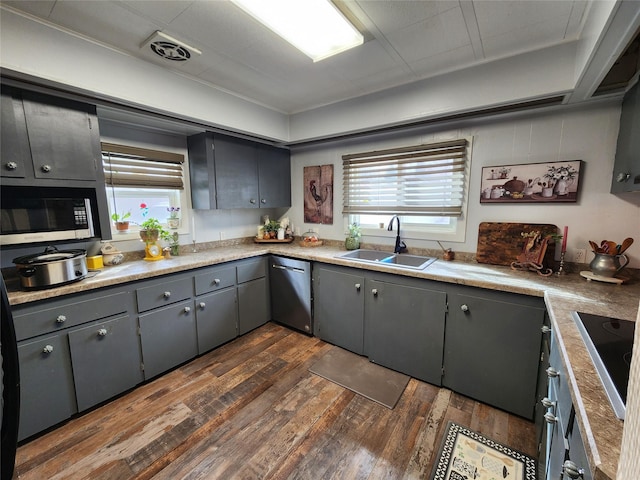 kitchen with visible vents, dishwasher, dark wood-style floors, gray cabinets, and a sink