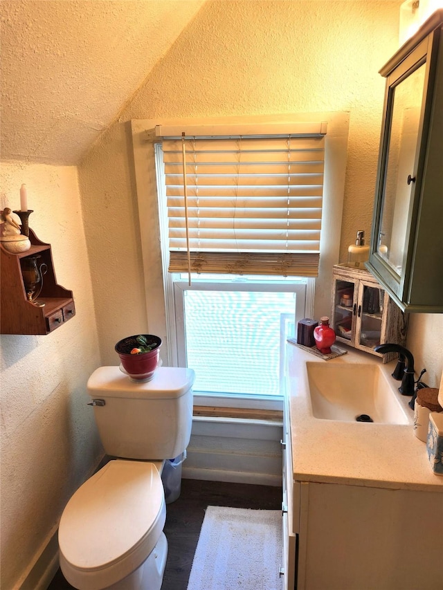 bathroom featuring a textured wall, wood finished floors, vanity, and toilet