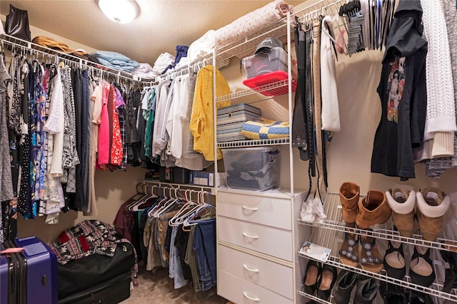 walk in closet with carpet floors