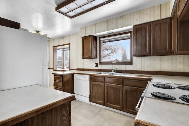 kitchen featuring white appliances, dark brown cabinetry, wallpapered walls, light countertops, and a sink