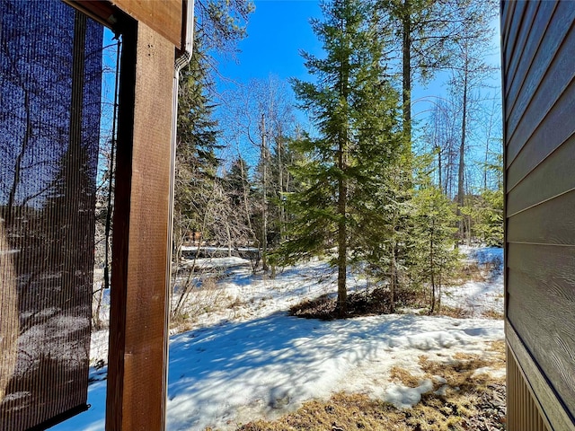 view of yard layered in snow