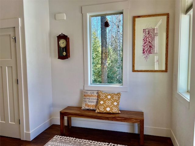 interior space with baseboards and wood finished floors