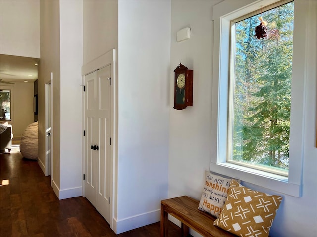 hallway with baseboards and dark wood finished floors