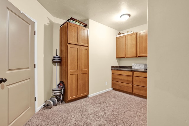 interior space featuring carpet floors