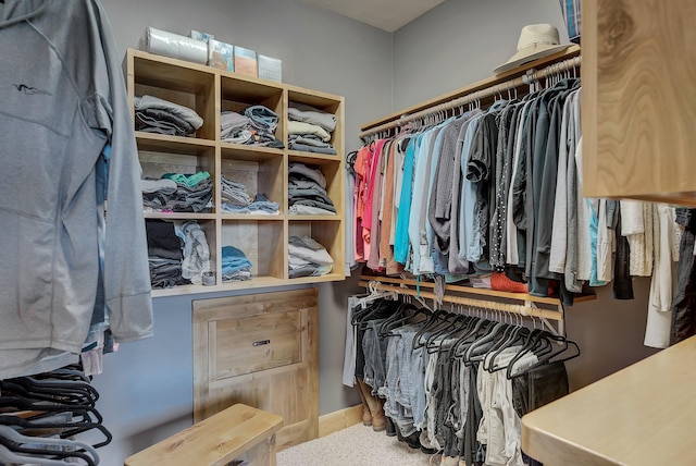 view of spacious closet