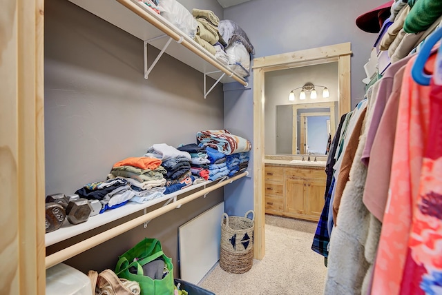 walk in closet featuring carpet flooring and a sink