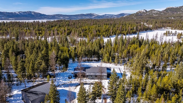 birds eye view of property featuring a forest view and a mountain view