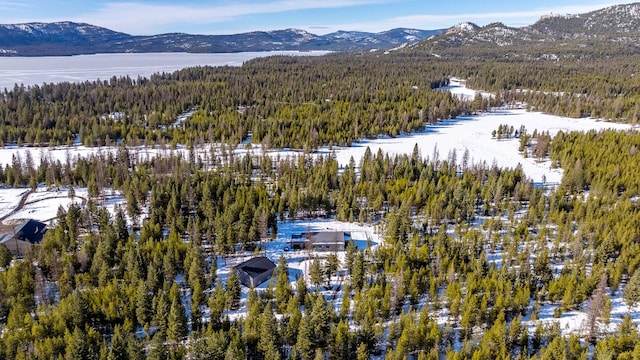 birds eye view of property featuring a forest view and a mountain view